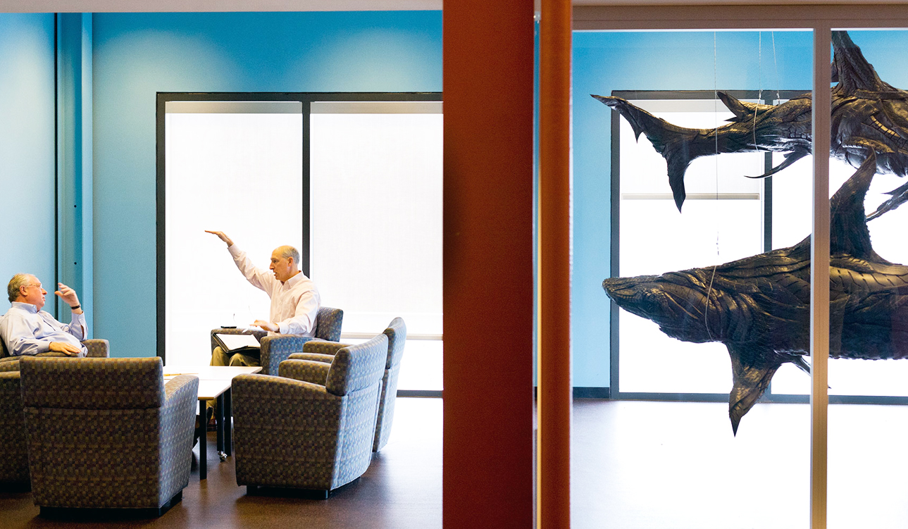 Office art, sharks, reception area